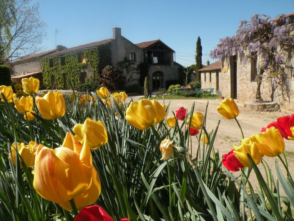 La Raymondiere Vernoux-en-Gatine ภายนอก รูปภาพ